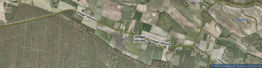 Zdjęcie satelitarne Wielgie Milickie ul.